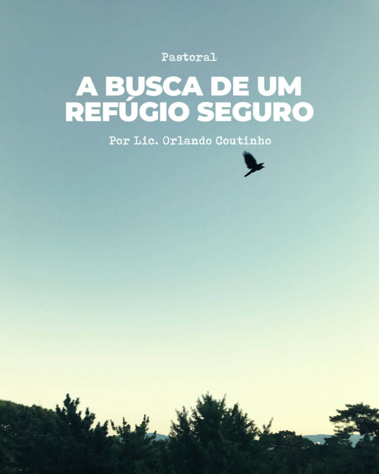 A Busca de um Refúgio Seguro